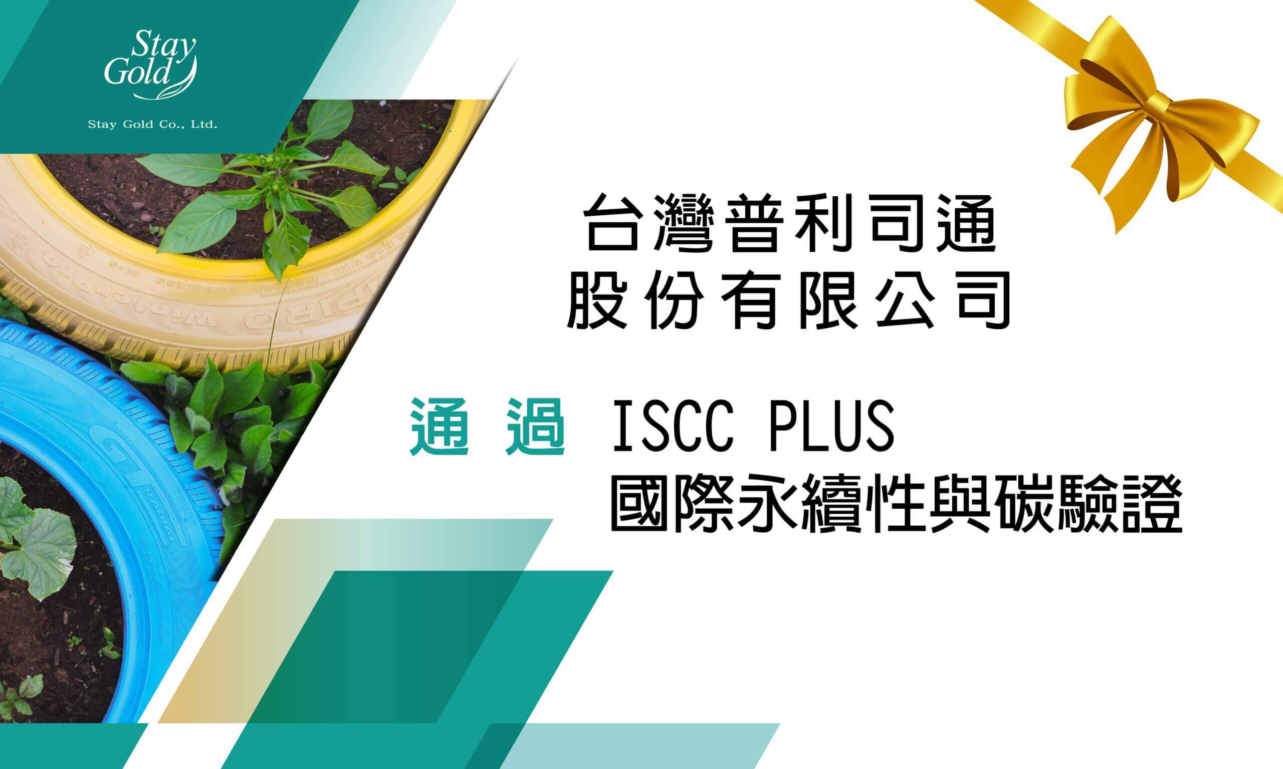 sg-250203-01