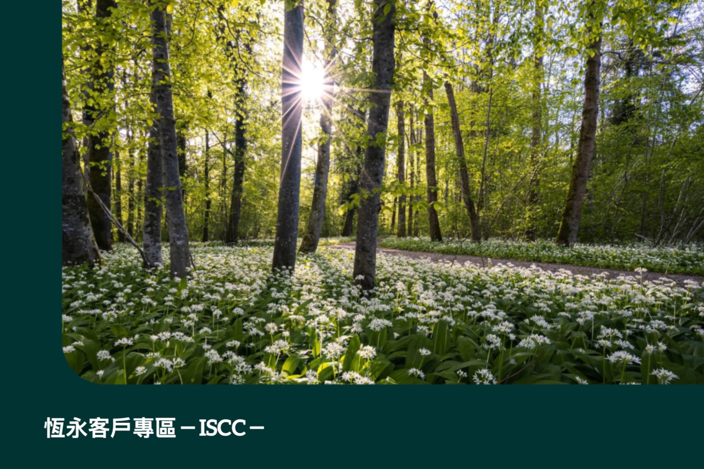 恆永企業ISCC客戶下載專區，立即掌握重點文件